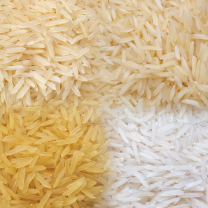 ChatGPT Image Feb 14, 2026, 03_31_11 PM