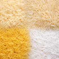 ChatGPT Image Feb 14, 2026, 03_32_31 PM