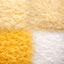 ChatGPT Image Feb 14, 2026, 03_33_09 PM