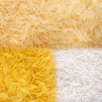 ChatGPT Image Feb 14, 2026, 03_37_24 PM